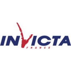 Invicta (Инвикта) - дизайнерские дровяные топки для камина (Франция)